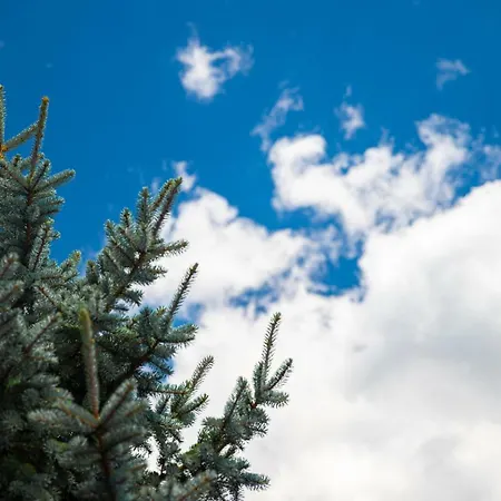 Διαμέρισμα Pano's House *